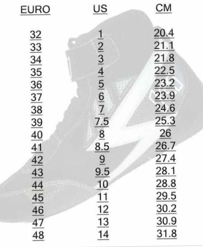 Pierre Gasly 2022 F1 Racing Shoes